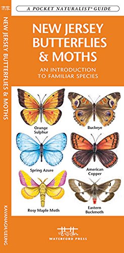 Buy The New Jersey Butterflies Amp Moths A Folding Pocket Guide