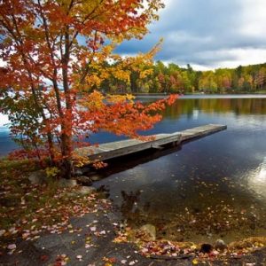 Bus from NJ to New Hampshire