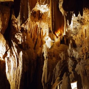 Bus Tour from NJ to Washington DC