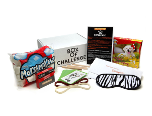 Best Monthly Subscription Box of Challenge